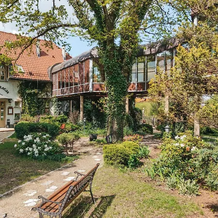 Pałac Czarny Hotel Wożniki