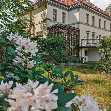 Отель Palac Czarny Las 4*