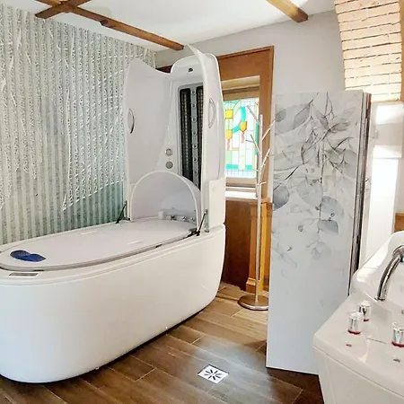 Palac Czarny מלון 4*