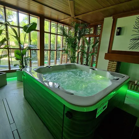 Palac Czarny Hotel Wożniki