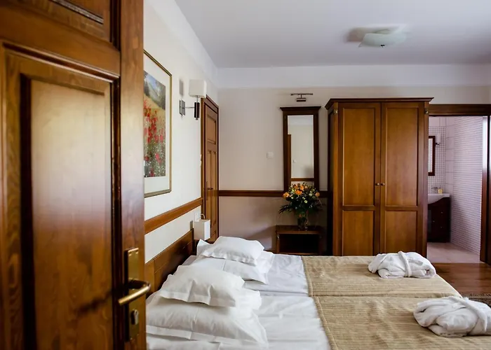 Palac Czarny Hotel 4*